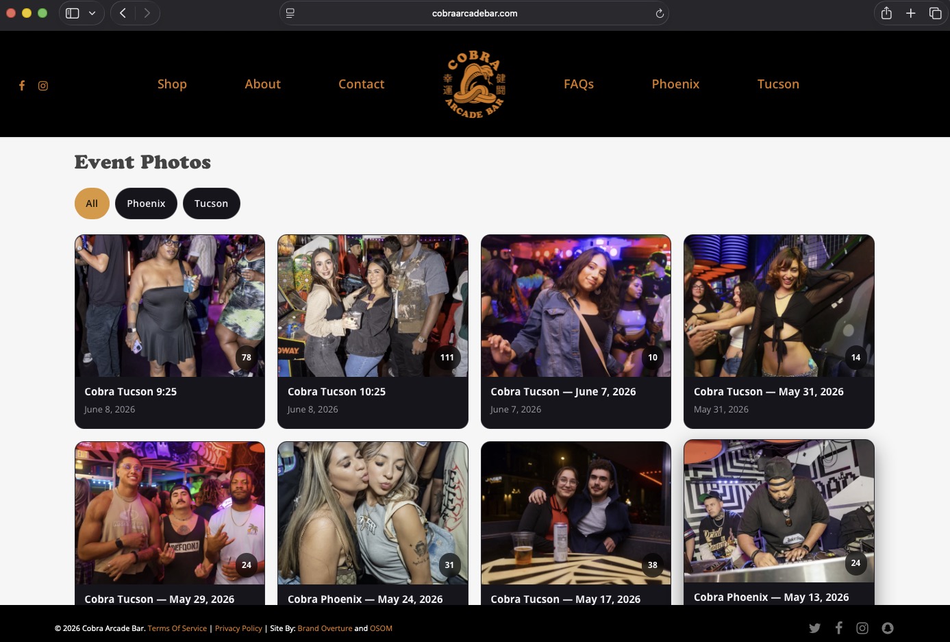 The Cobra Gallery website